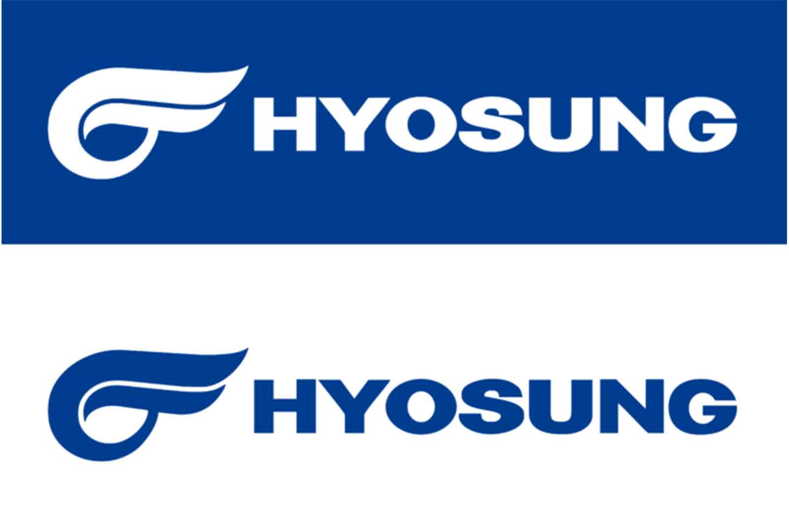 Logo des Herstellers Hyosung
